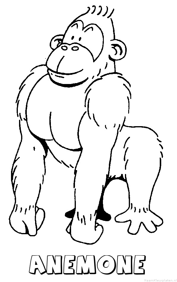 Anemone aap gorilla