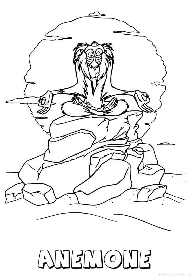 Anemone de leeuwenkoning 2