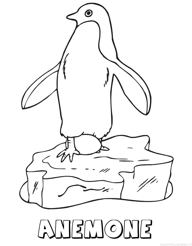 Anemone pinguin kleurplaat
