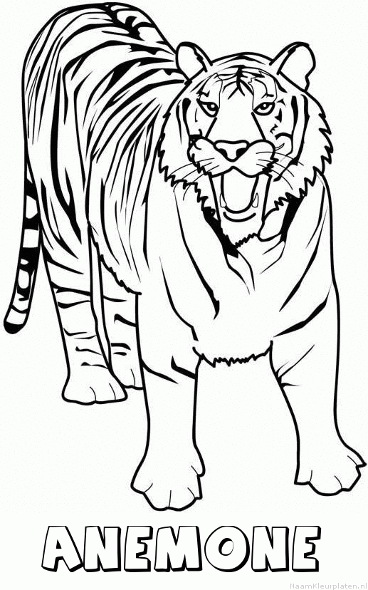 Anemone tijger 2 kleurplaat