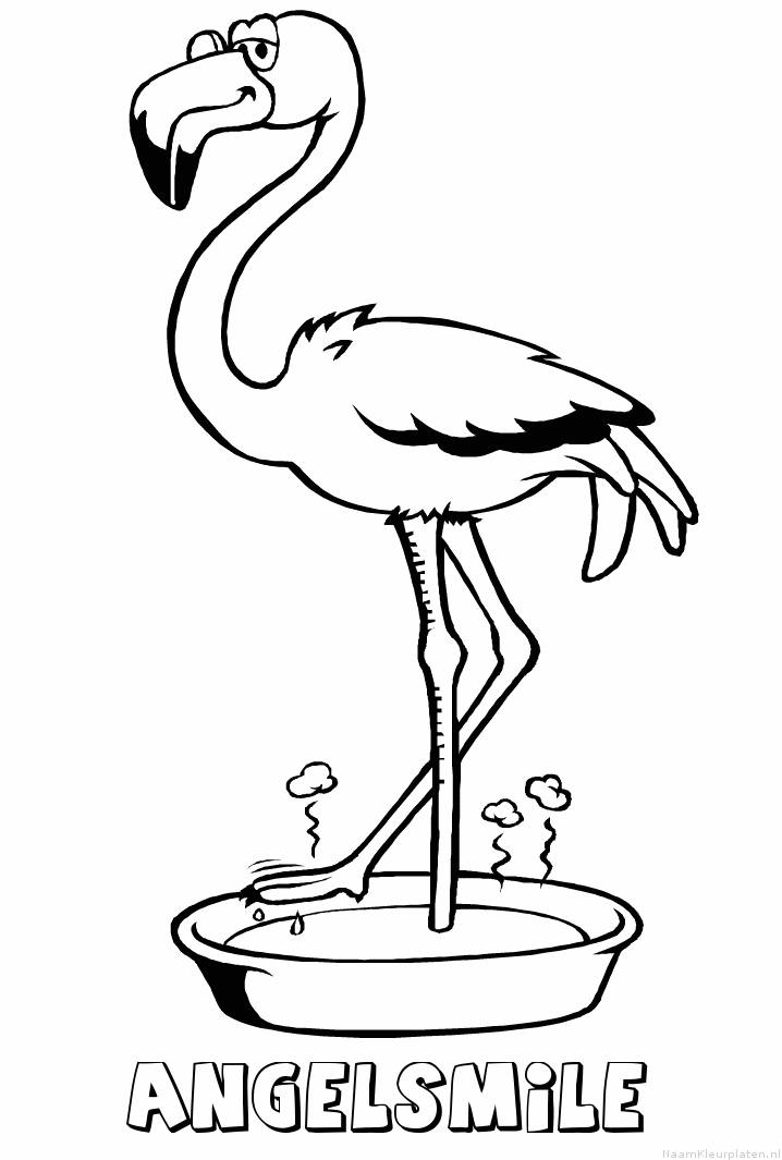 Angelsmile flamingo