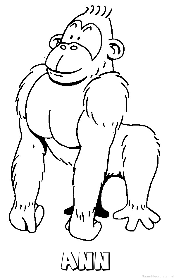 Ann aap gorilla