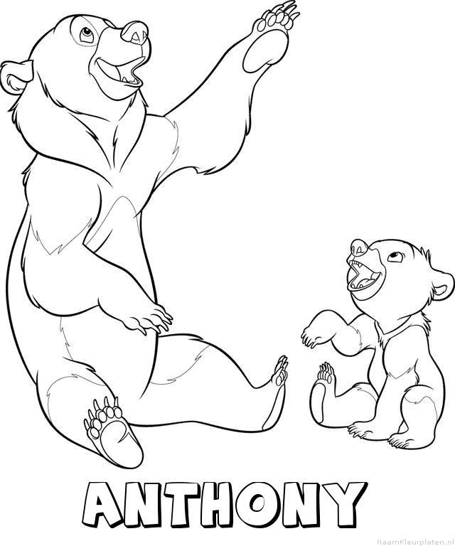 Anthony brother bear