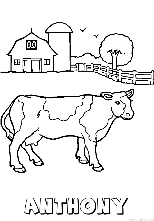 Anthony koe kleurplaat