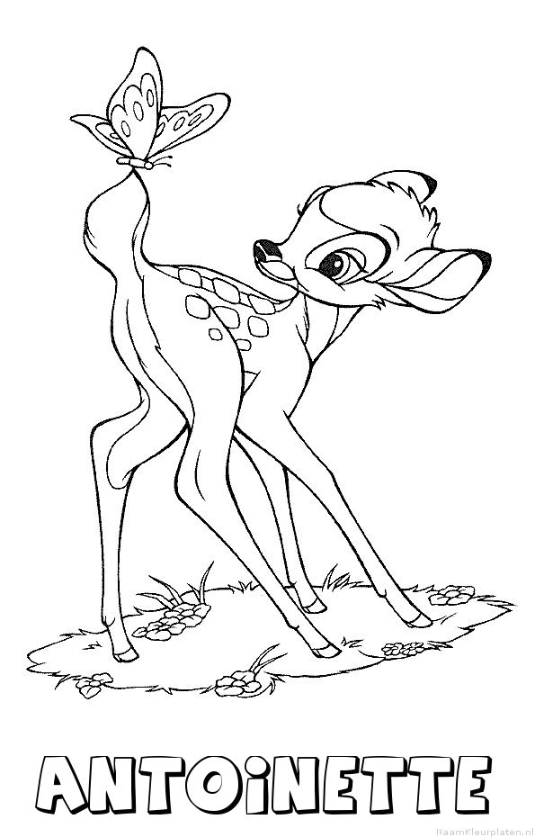 Antoinette bambi