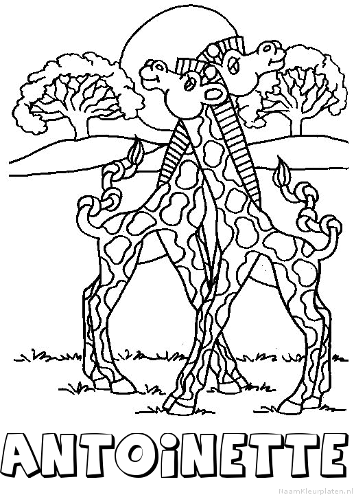 Antoinette giraffe koppel