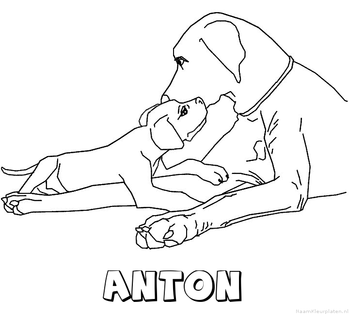 Anton hond puppy kleurplaat