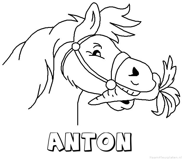 Anton paard van sinterklaas kleurplaat