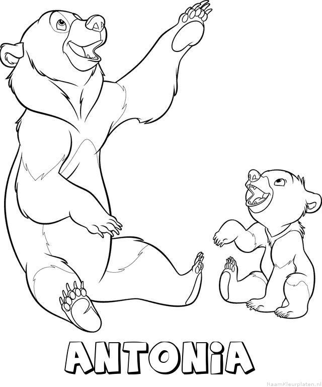 Antonia brother bear