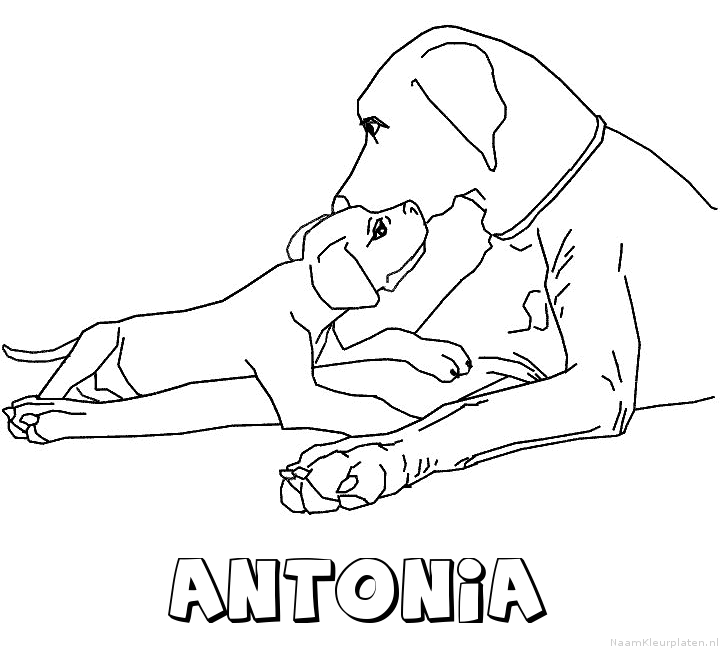 Antonia hond puppy kleurplaat