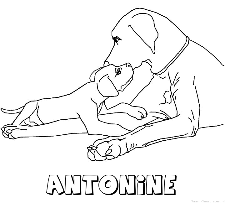 Antonine hond puppy kleurplaat
