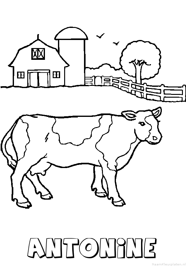 Antonine koe kleurplaat
