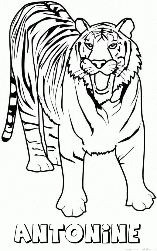 Antonine tijger 2 kleurplaat