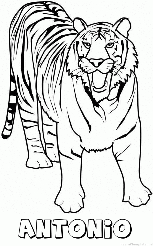 Antonio tijger 2 kleurplaat