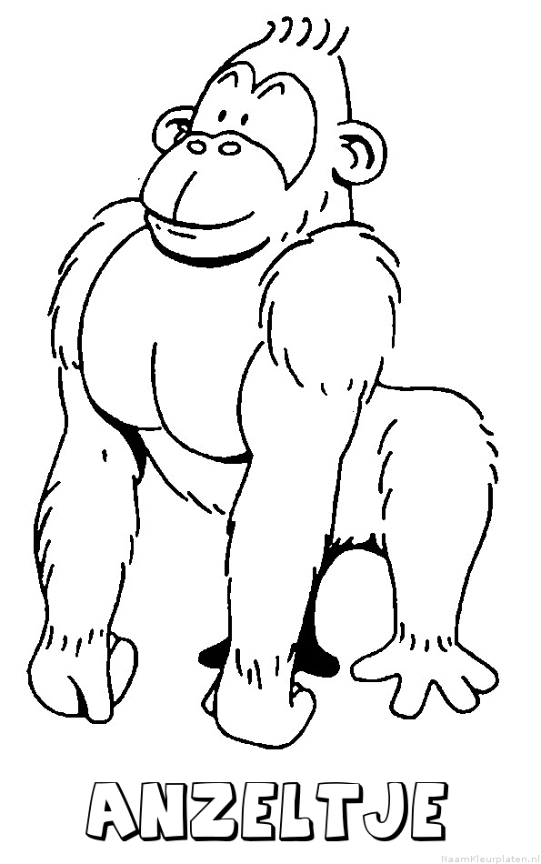Anzeltje aap gorilla