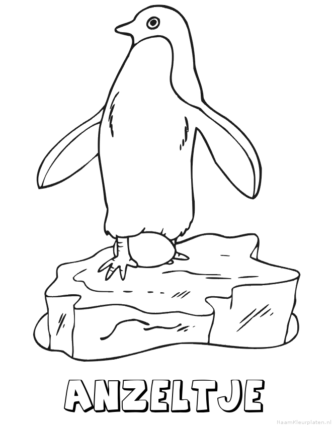 Anzeltje pinguin