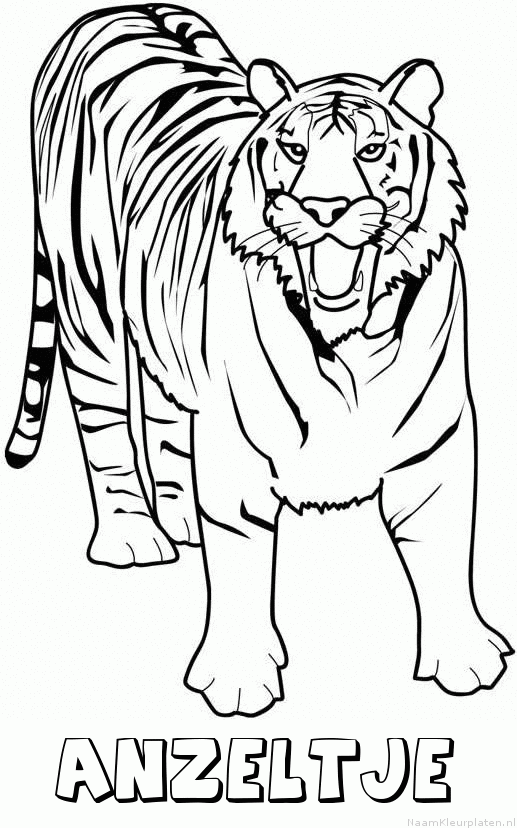 Anzeltje tijger 2 kleurplaat