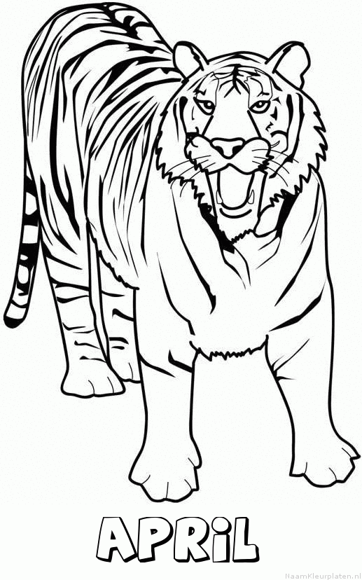 April tijger 2 kleurplaat