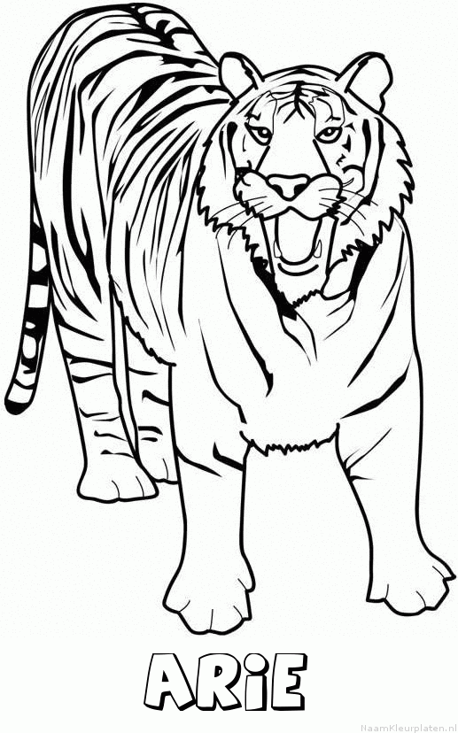 Arie tijger 2 kleurplaat
