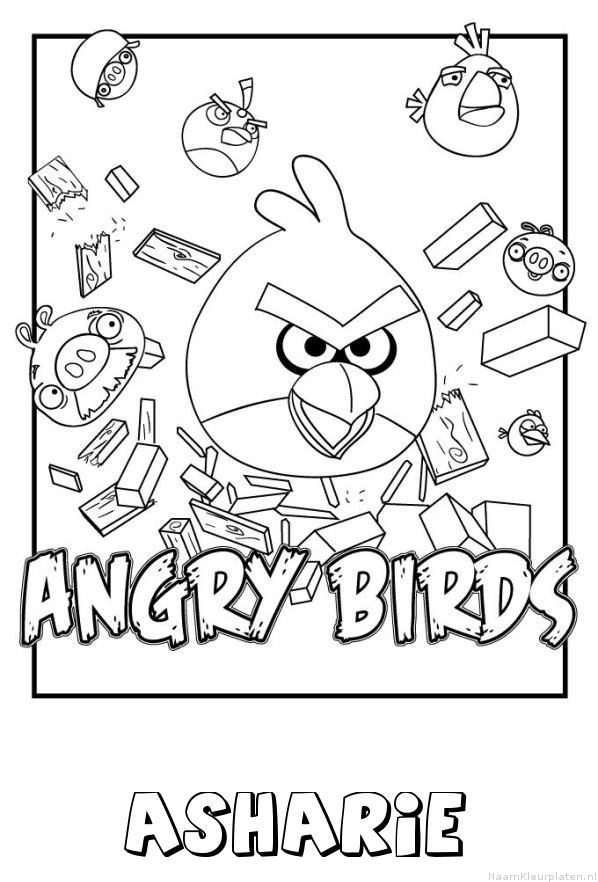Asharie angry birds