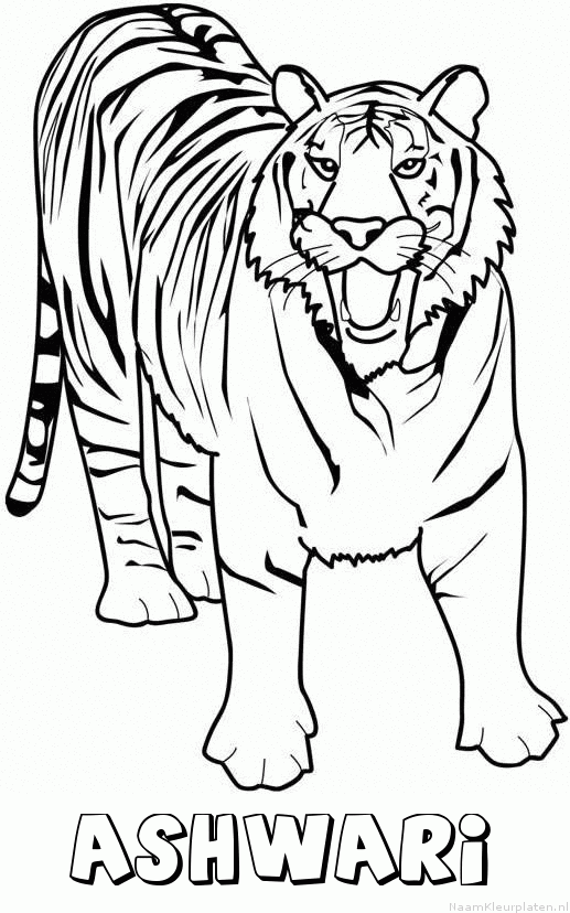 Ashwari tijger 2