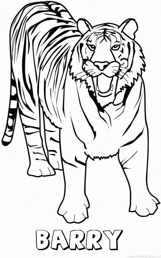 Barry tijger 2 kleurplaat