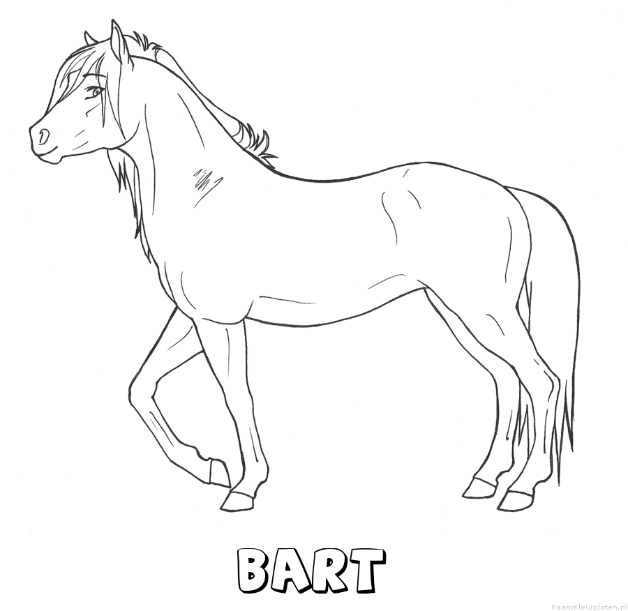 Bart paard kleurplaat