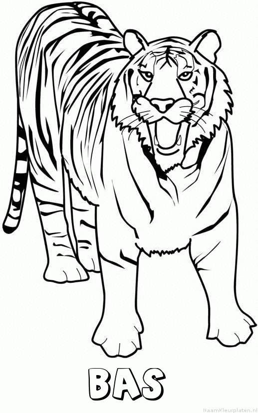 Bas tijger 2 kleurplaat