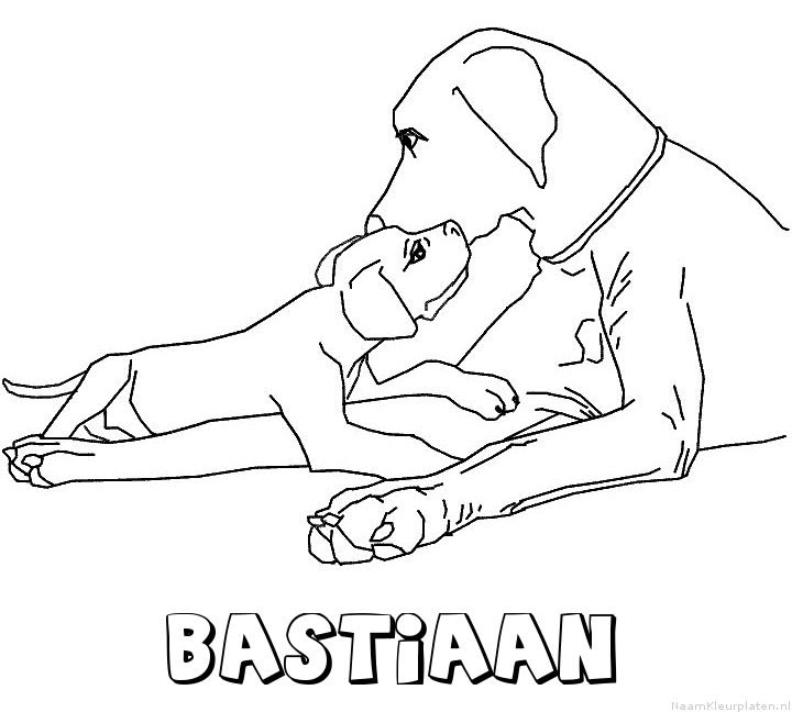 Bastiaan hond puppy kleurplaat