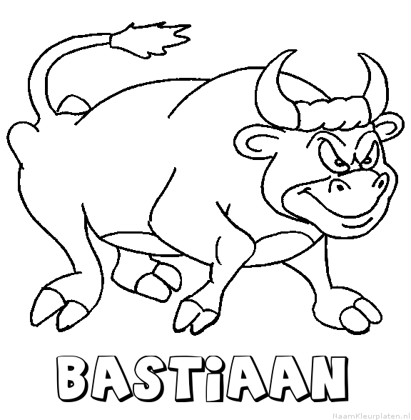 Bastiaan stier