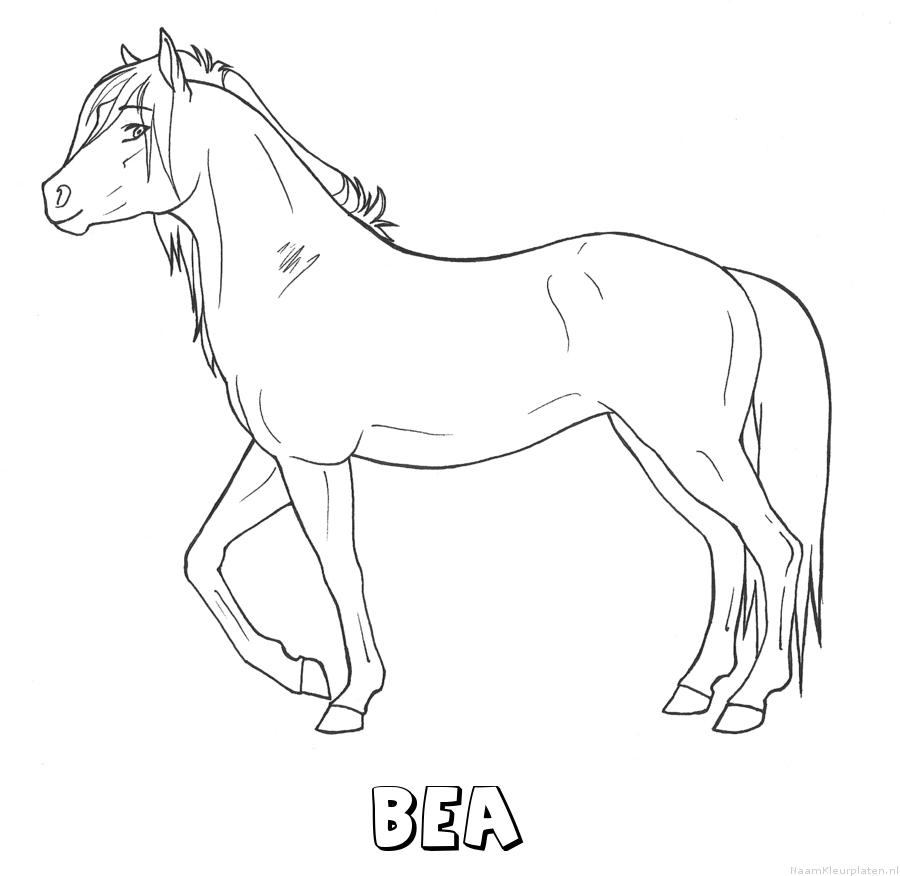 Bea paard