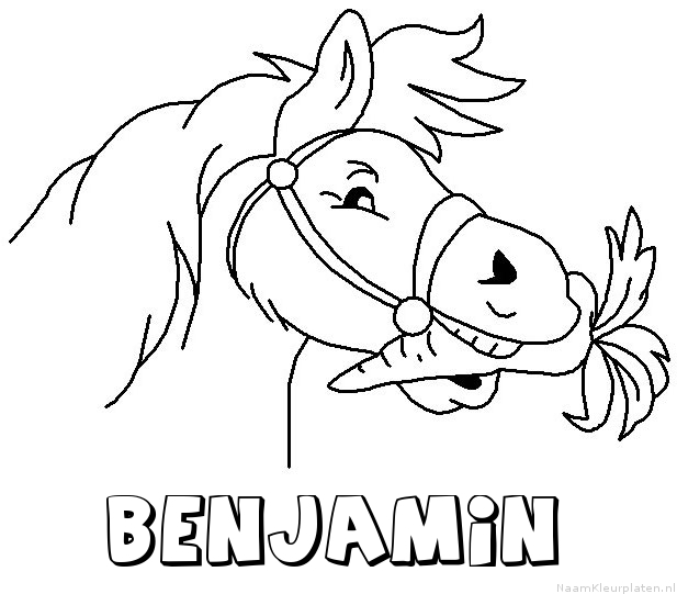 Benjamin paard van sinterklaas kleurplaat