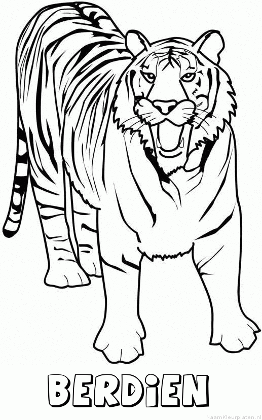 Berdien tijger 2 kleurplaat