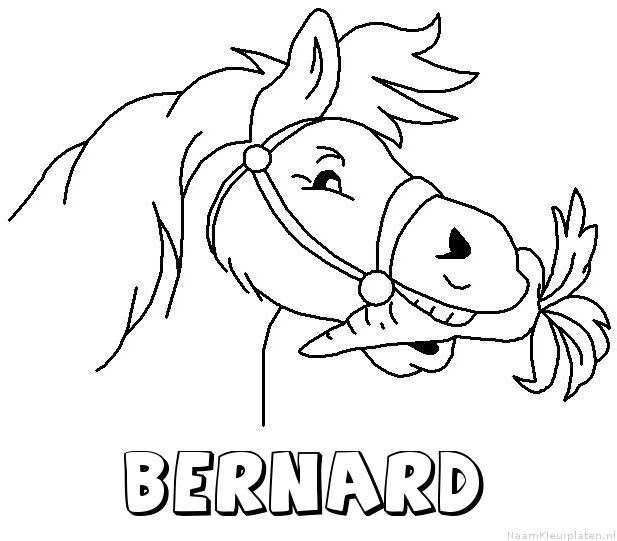 Bernard paard van sinterklaas kleurplaat