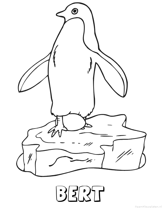 Bert pinguin kleurplaat