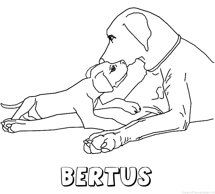 Bertus hond puppy kleurplaat