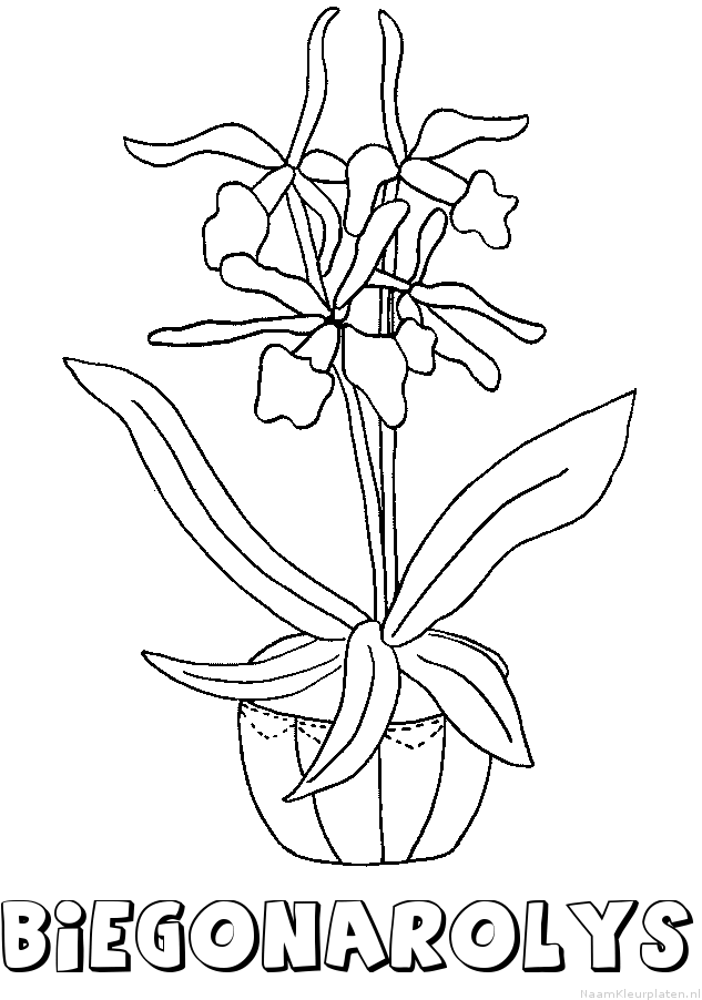 Biegonarolys bloemen kleurplaat