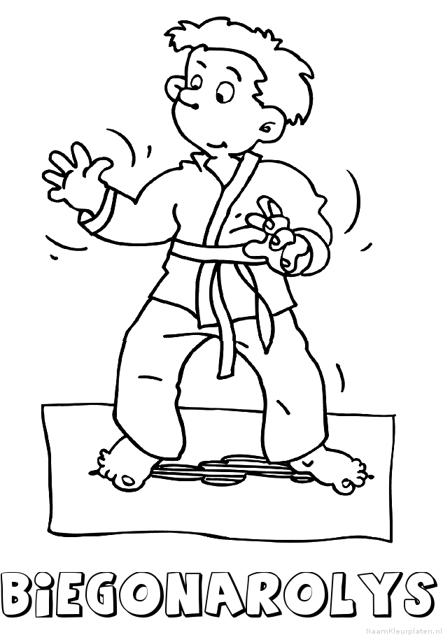 Biegonarolys judo
