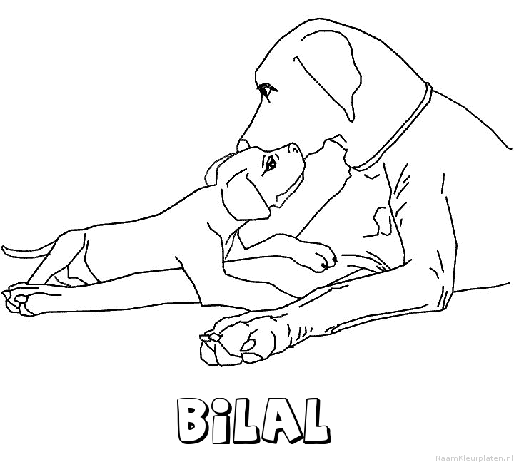 Bilal hond puppy