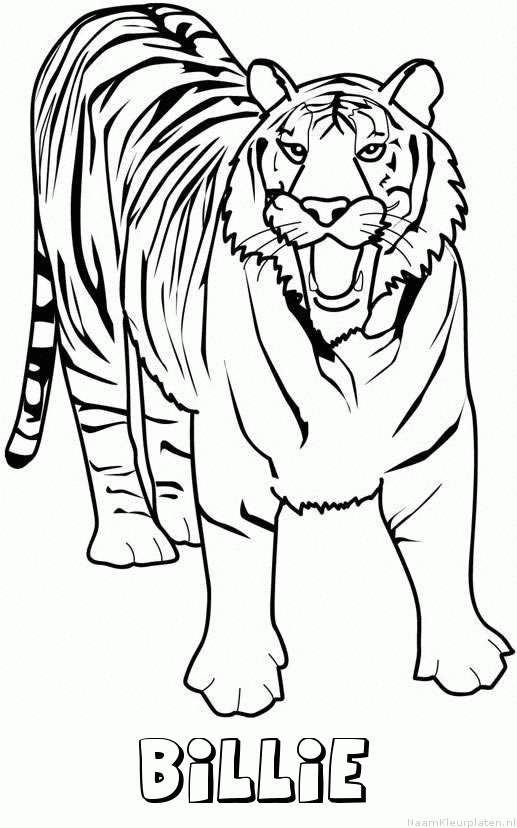 Billie tijger 2 kleurplaat