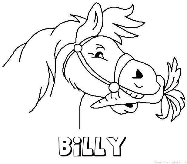 Billy paard van sinterklaas kleurplaat
