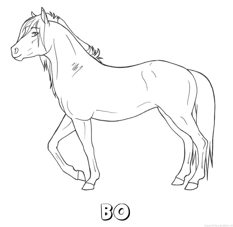 Bo paard