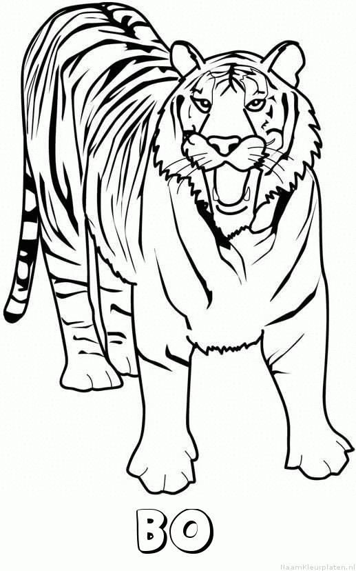 Bo tijger 2 kleurplaat