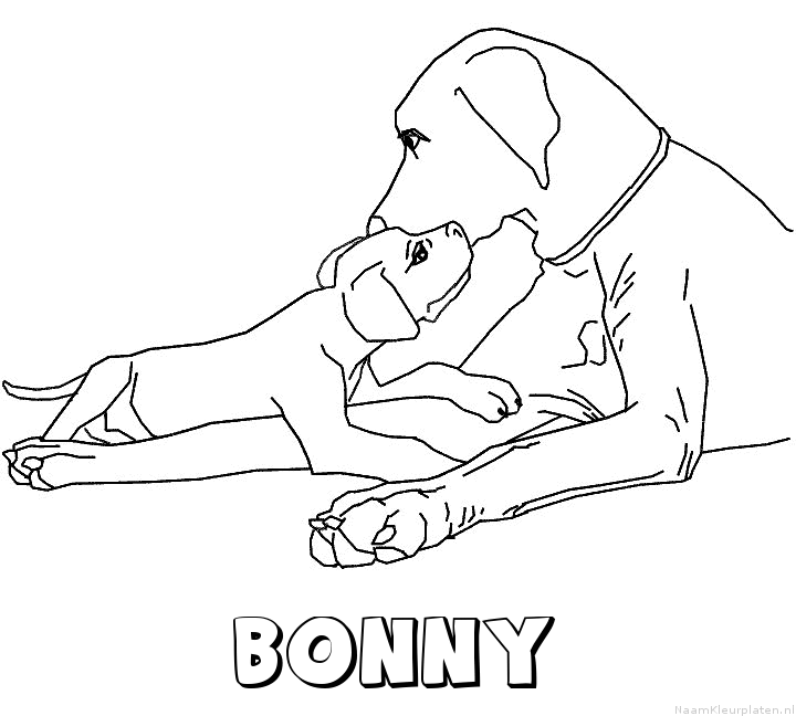 Bonny hond puppy kleurplaat