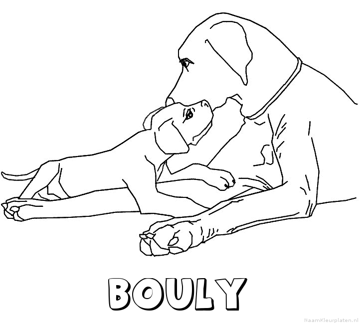 Bouly hond puppy kleurplaat