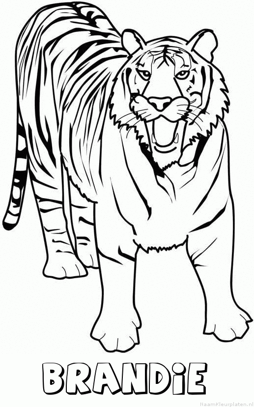 Brandie tijger 2 kleurplaat
