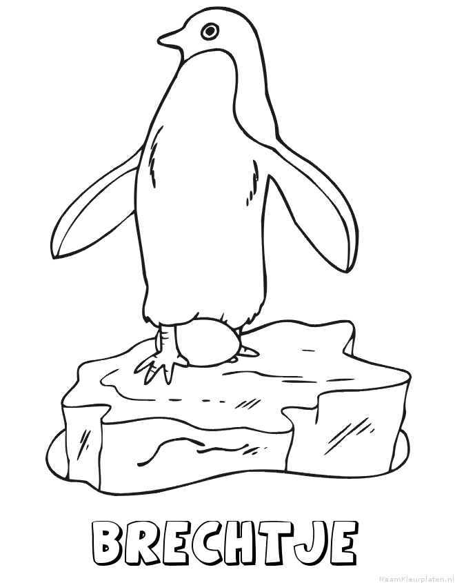 Brechtje pinguin