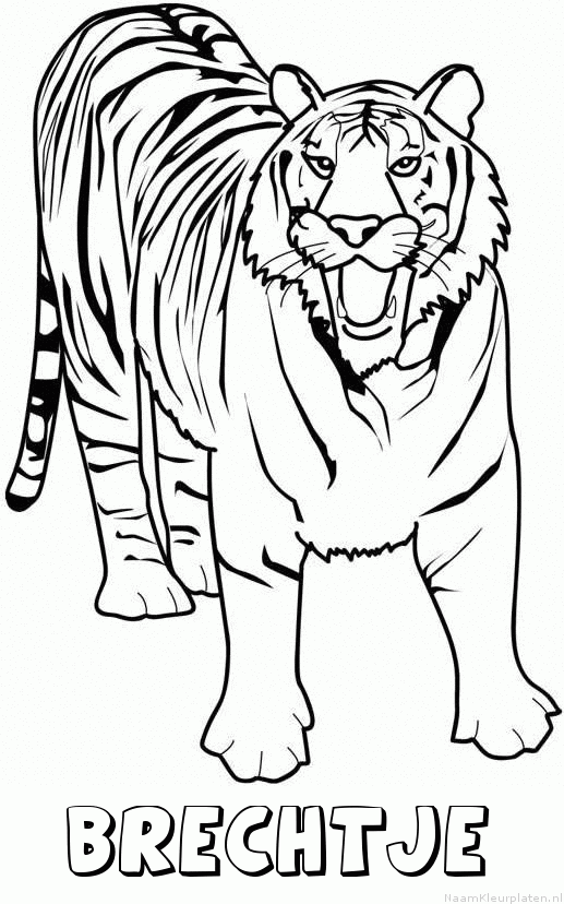 Brechtje tijger 2 kleurplaat