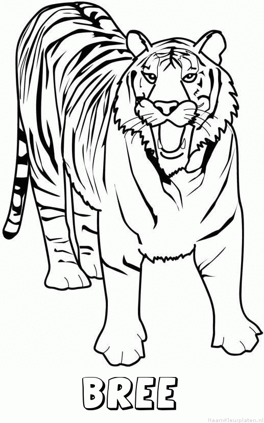Bree tijger 2 kleurplaat
