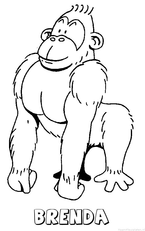 Brenda aap gorilla